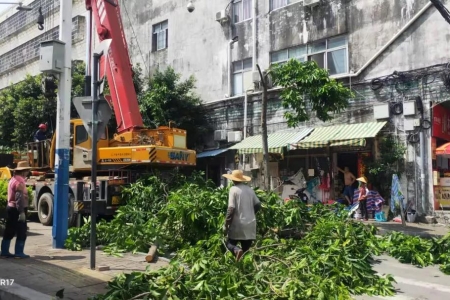 西區(qū)街道：開展全路域環(huán)境整治，助力文明城市創(chuàng)建