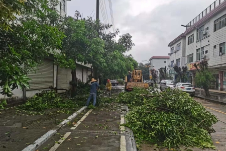 漁船靠岸，工地停工！防御臺風“圓規(guī)”，南區(qū)街道這樣做