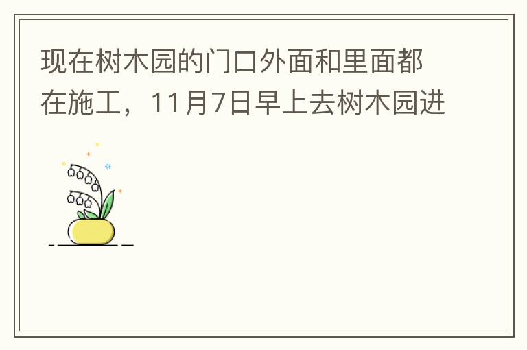 現(xiàn)在樹木園的門口外面和里面都在施工，11月7日早上去樹木園進(jìn)行戶外活動，在出入口都是非常大的灰塵，有挖掘機(jī)等機(jī)械在施工，但是周圍都是灰塵，施工方?jīng)]有做好防塵措施，而且我們走的時候，竟然還有一個人拿著掃