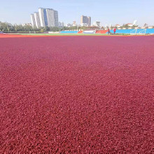 混合型塑膠跑道 環(huán)保塑膠跑道 操場塑膠跑道 塑膠跑道建設(shè) 塑膠跑道價(jià)格