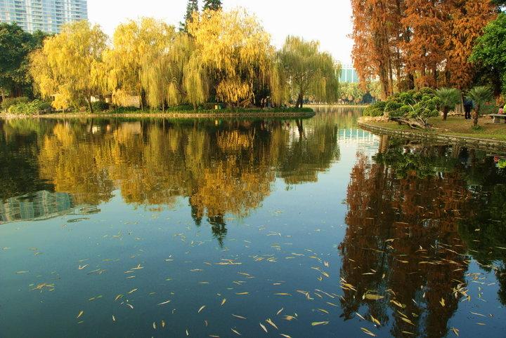 流花湖公園東北門（臨近陸軍總醫(yī)院、東方賓館）