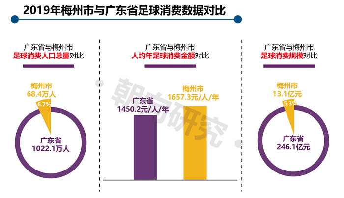 2019梅州與廣東省足球消費數(shù)據(jù)對比-01.jpg