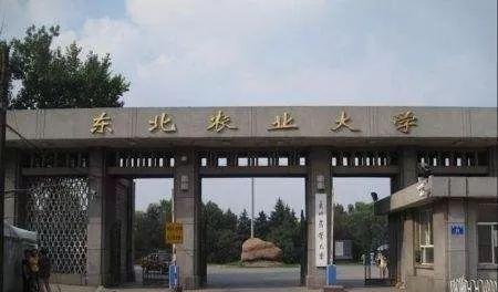 兩校合并，黑龍江將迎來一所新大學(xué)？教育廳有明確回復(fù)，值得期待